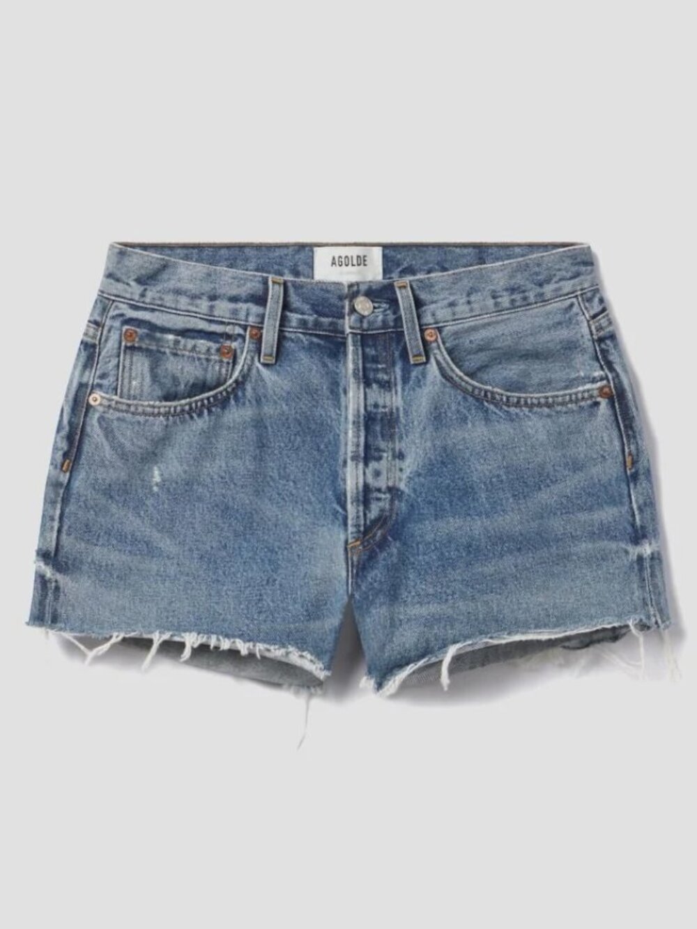AGOLDE Parker Vintage Cut Off Denim Shorts Size 26 / S High Rise Button Fly